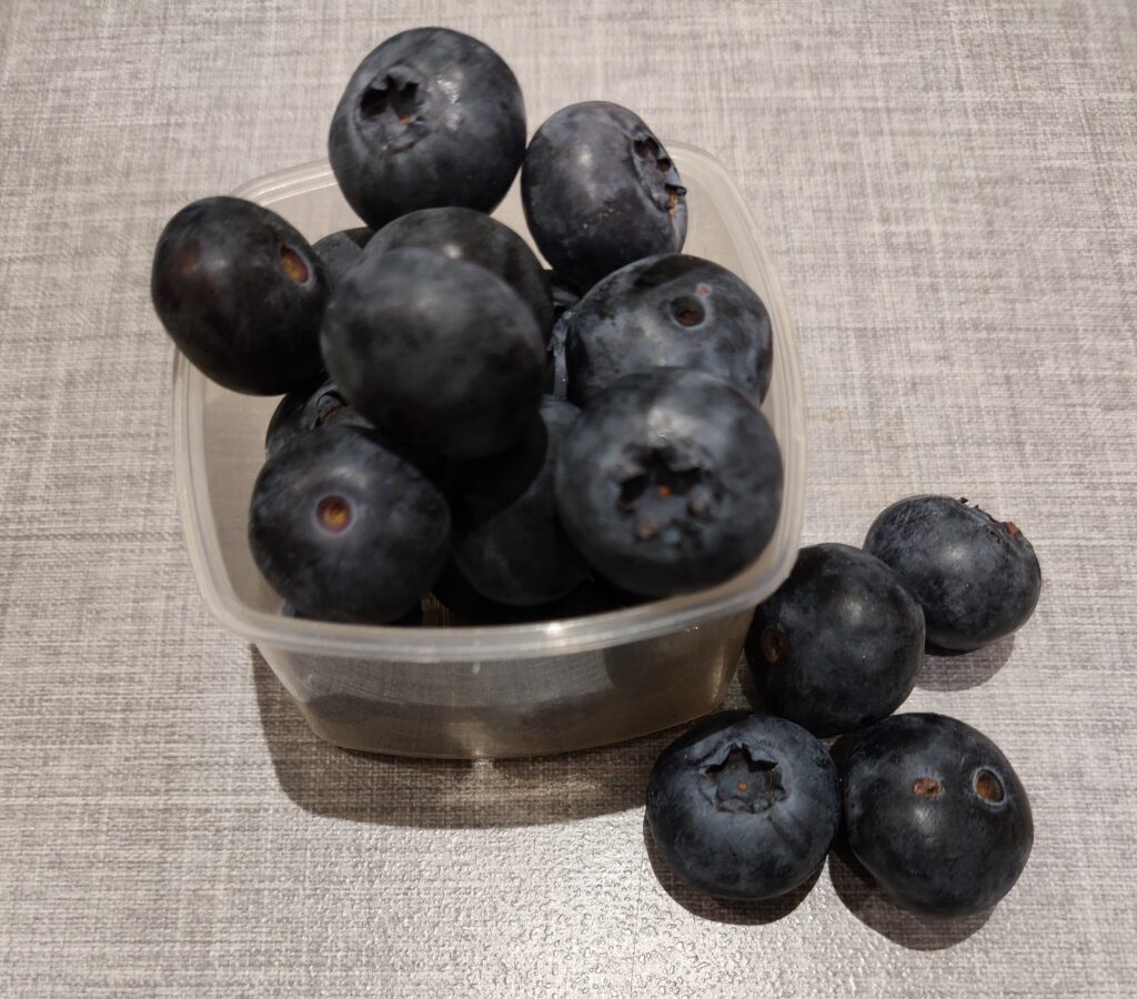blåbær madpakkefavorit