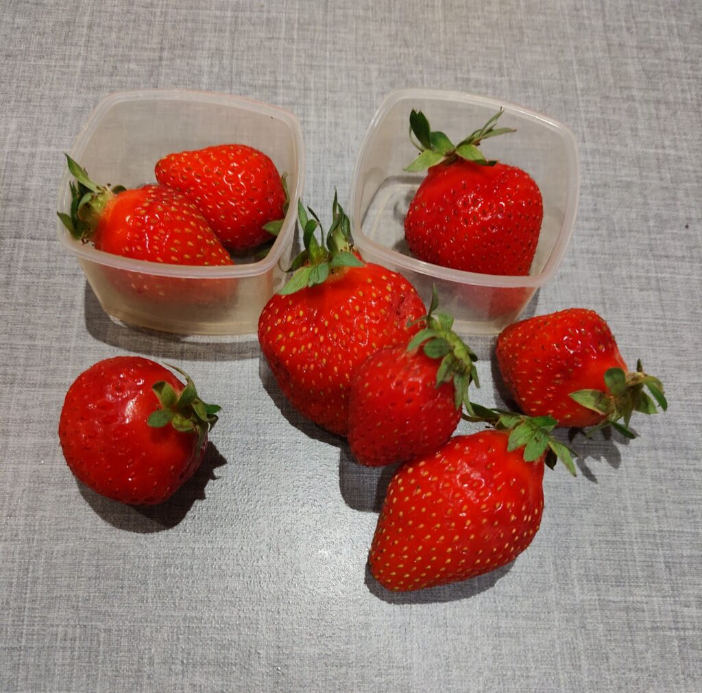 jordbær i madpakke