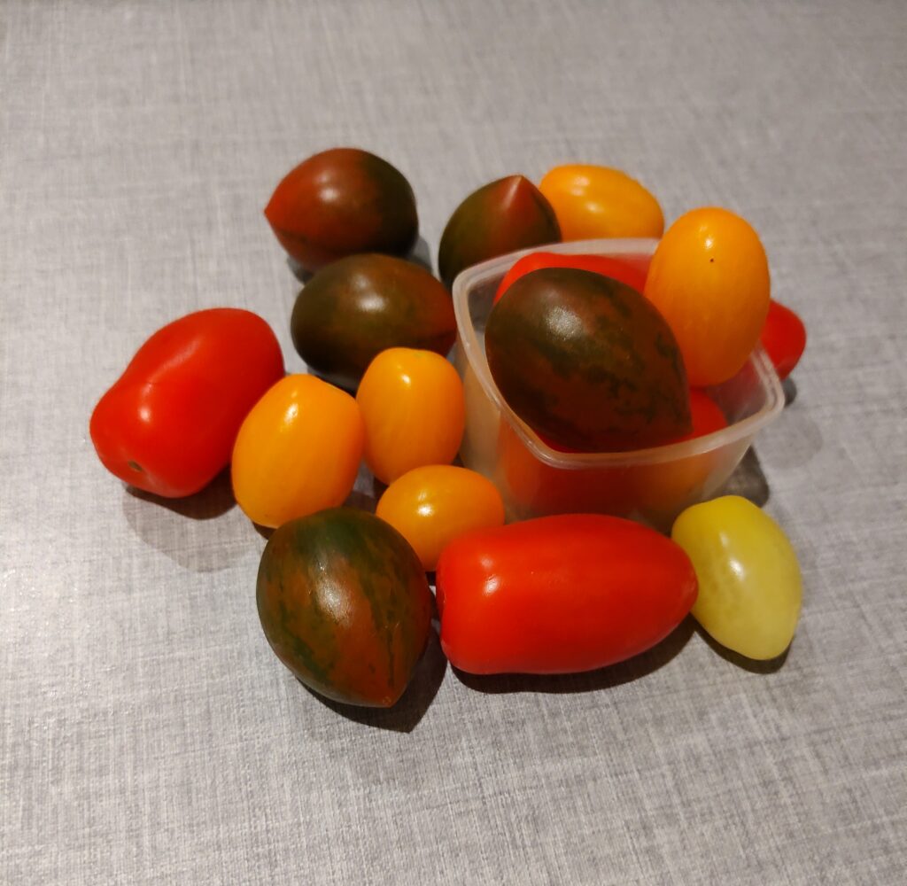 tomater til madpakke